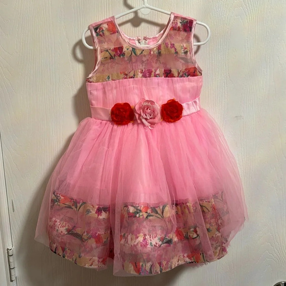Beautiful Little Girls Pink‎ Party Dress With Flowers Skirt is Fluffy and Flowy - Picture 1 of 9